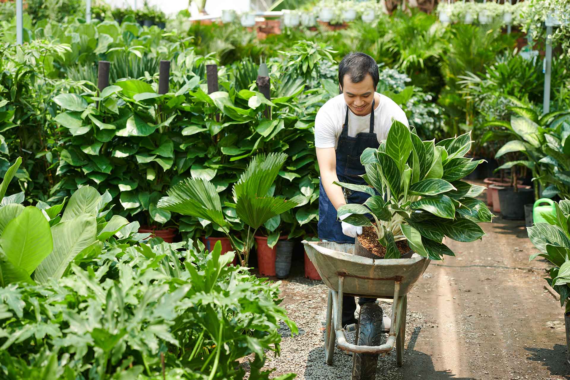 Space Landscaping: Can We Design Green Habitats on Mars and the Moon?