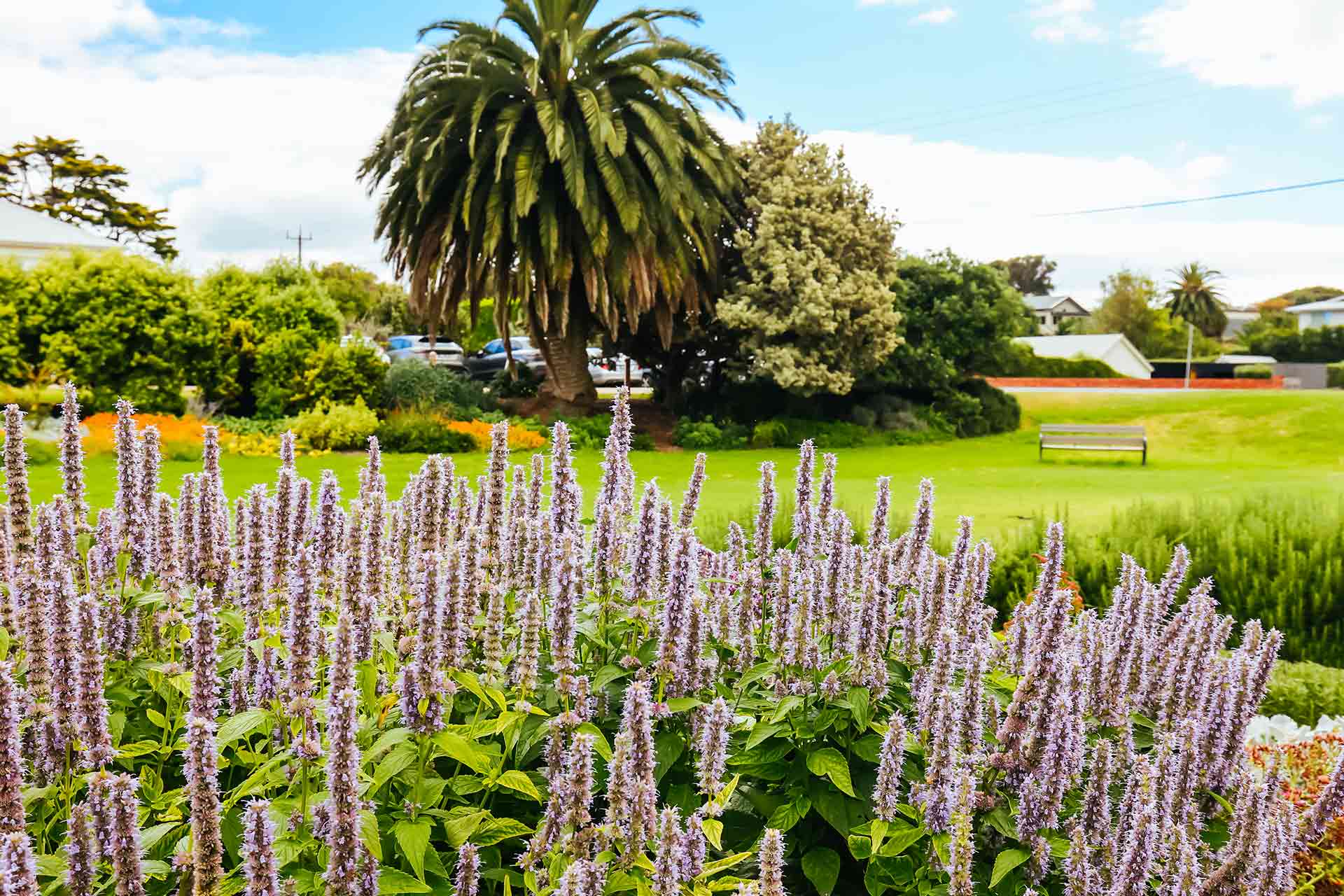 From Concrete to Green: The Future of Regenerative Landscaping